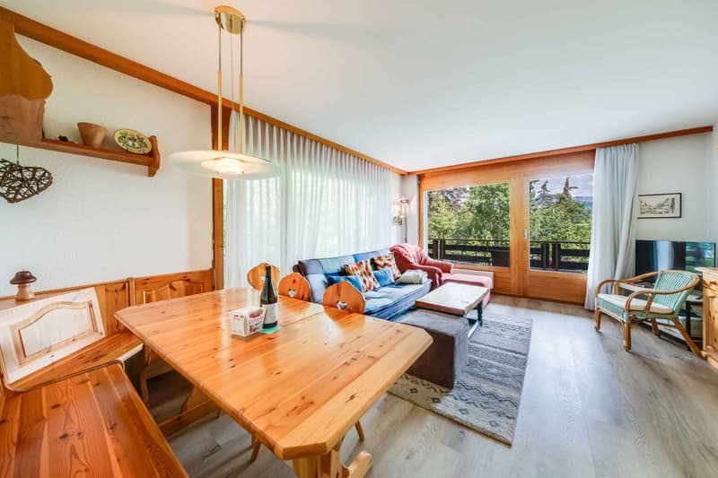 Appartement de 3,5 pièces avec grande terrasse (2)