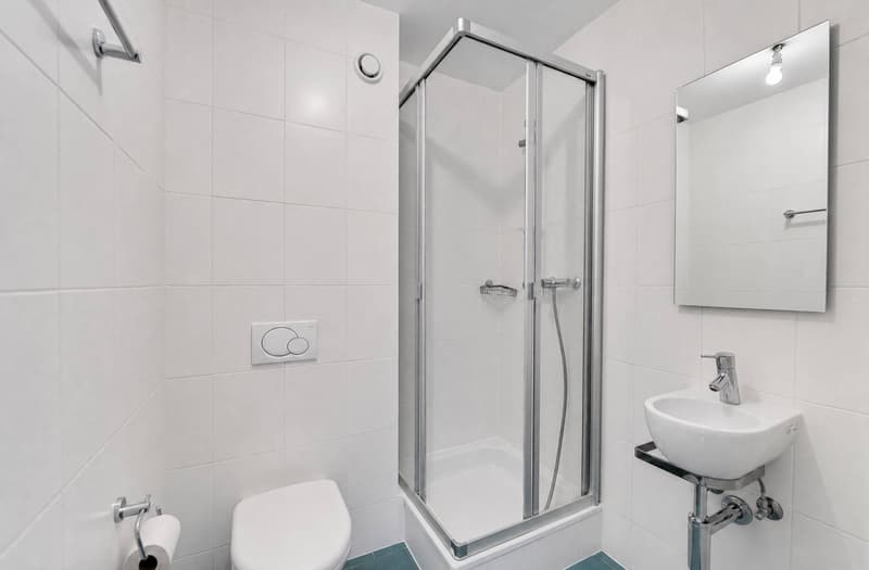 Appartement lumineux de 3,5 pièces. Proche de toutes commodités. (9)