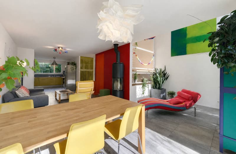 Jolie villa mitoyenne avec jardin privatif (3)