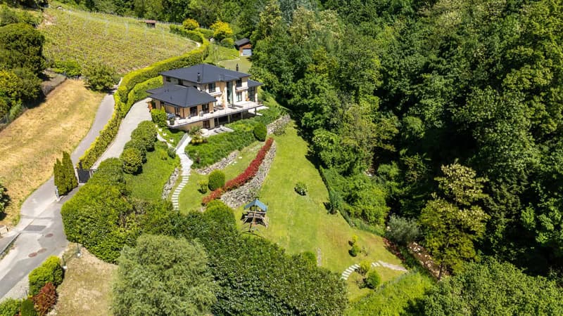 Propriété d'exception avec vue imprenable et dégagée sur le Lac et les Alpes ! (13)