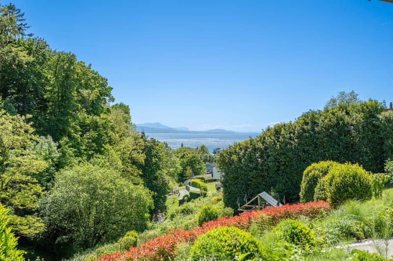 Propriété d'exception avec vue imprenable et dégagée sur le Lac et les Alpes ! (3)