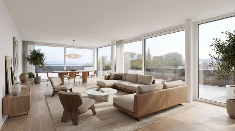 Splendide attique de 5.5 pièces avec terrasse de 249m2 (8)