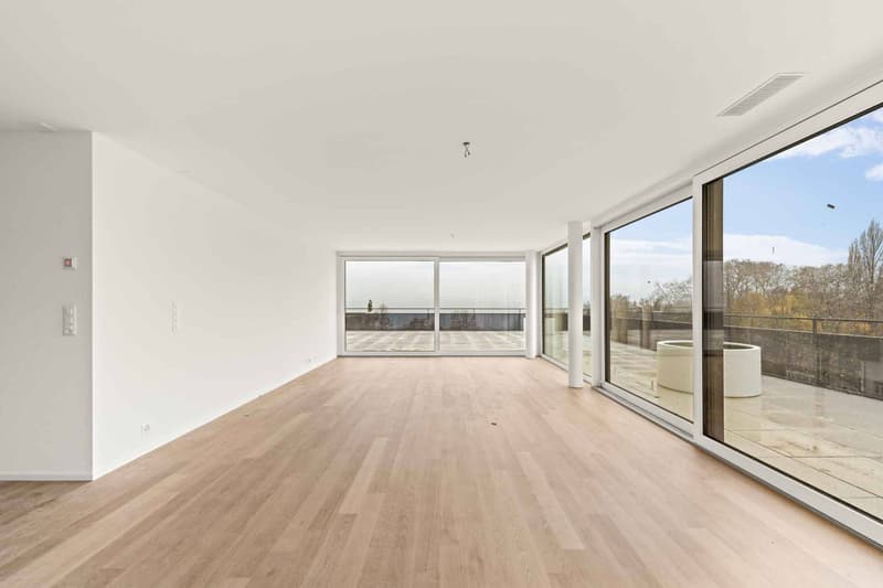 Splendide attique de 5.5 pièces avec terrasse de 249m2 (7)
