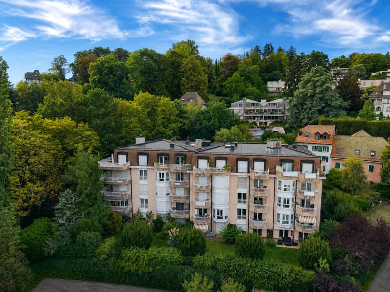 Charmant studio en attique avec vue sur le Lac ! (2)