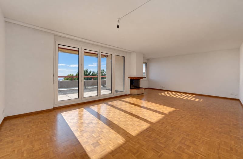 Appartement lumineux avec grande terrasse et vue panoramique sur le lac (2)