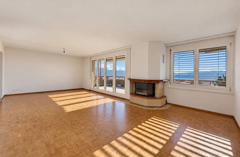 Appartement lumineux avec grande terrasse et vue panoramique sur le lac (1)