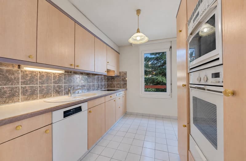 Appartement lumineux avec grande terrasse et vue panoramique sur le lac (3)