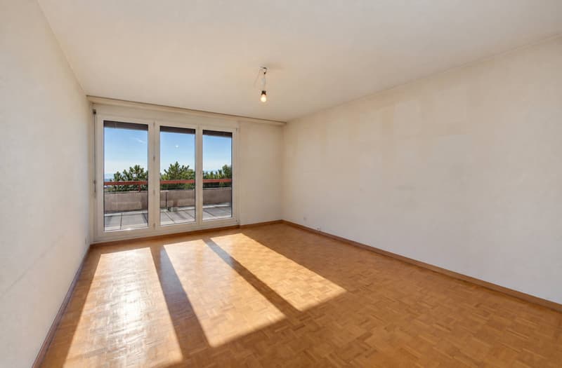 Appartement lumineux avec grande terrasse et vue panoramique sur le lac (5)