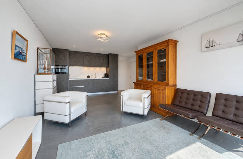 Appartement de 2.5 pièces avec une terrasse de 46 m² dans un immeuble de standing (3)