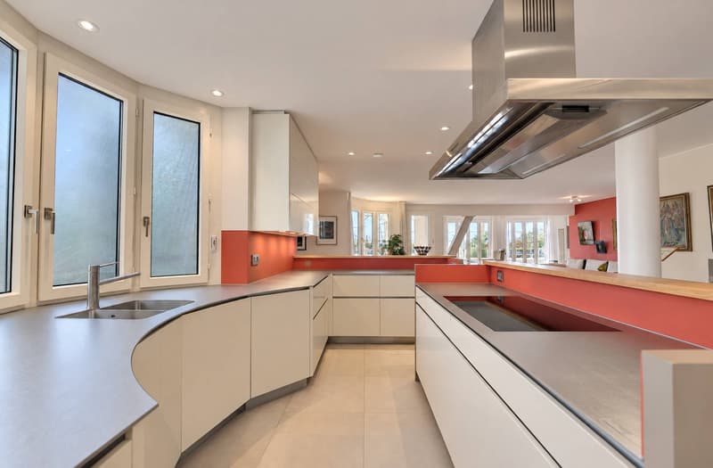 Appartement de 167 m² avec une terrasse de 153 m² en viager sans rente (5)