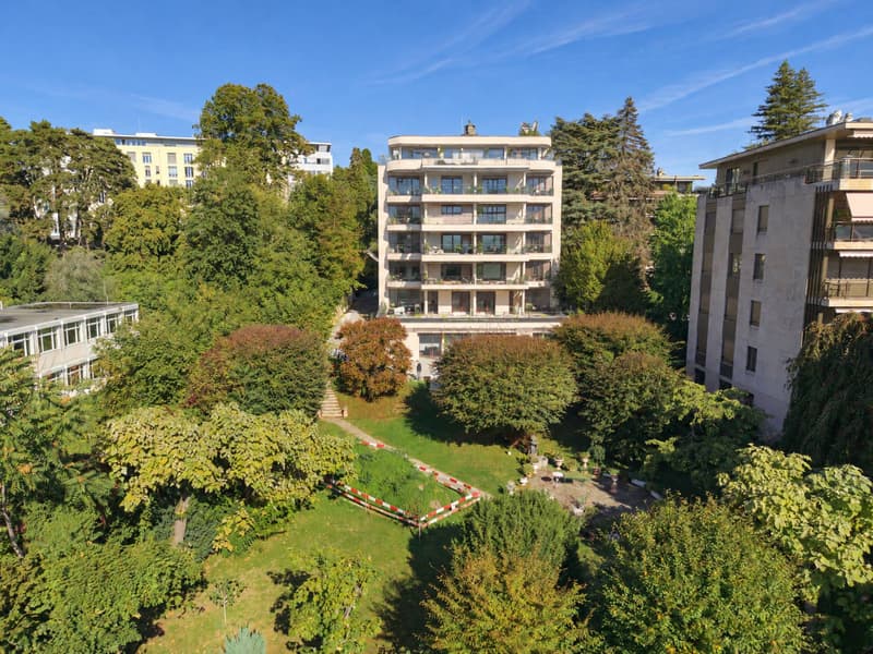 Appartement de 167 m² avec une terrasse de 153 m² en viager sans rente (7)