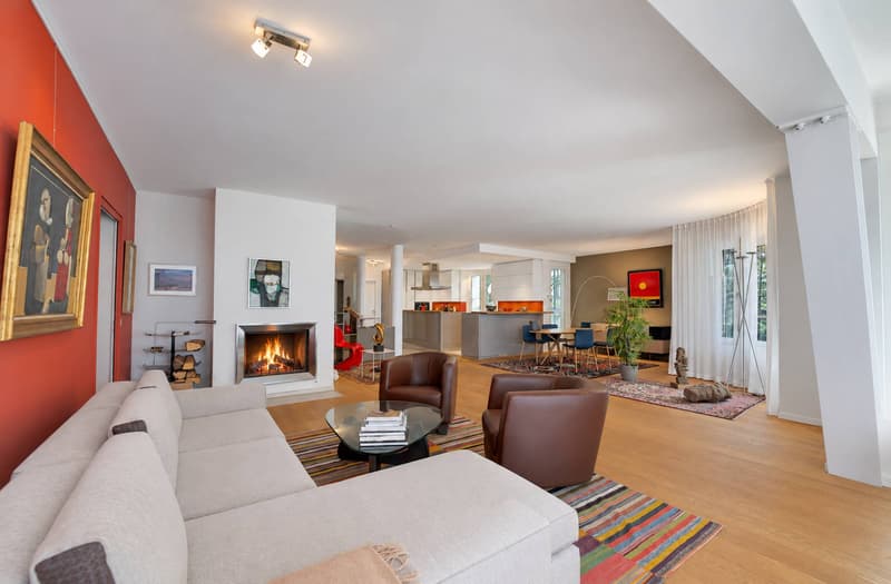 Appartement de 167 m² avec une terrasse de 153 m² en viager sans rente (11)
