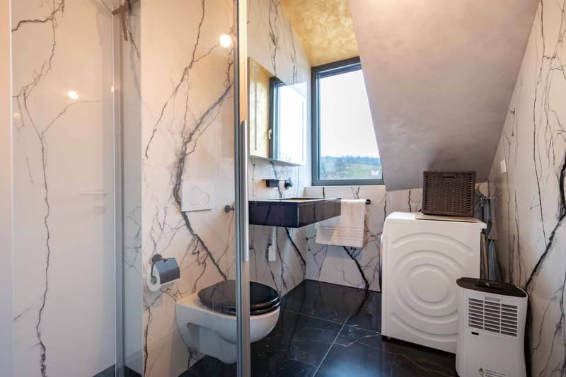 Charming furnished 2.5-room apartment, 10 minutes from EHL (5)