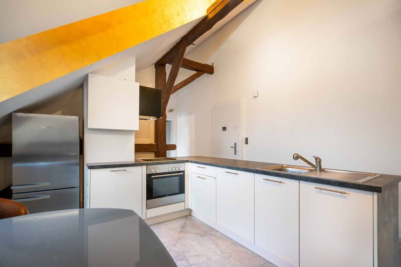 Charming furnished 2.5-room apartment, 10 minutes from EHL (3)