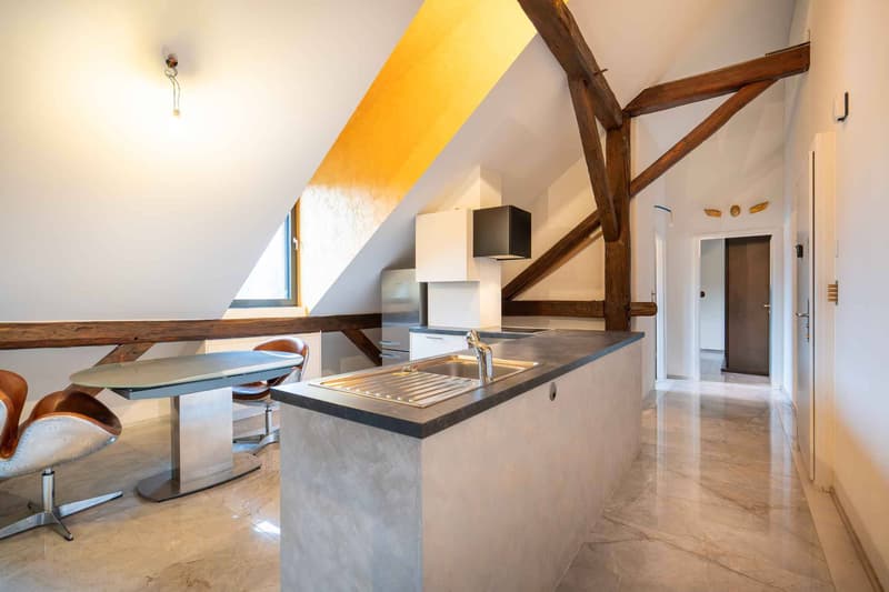 Charming furnished 2.5-room apartment, 10 minutes from EHL (4)
