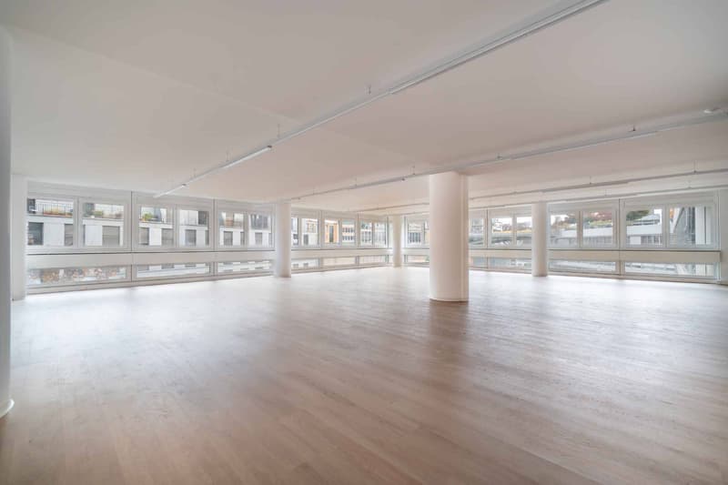 Modern and fully renovated commercial premises of 129 m² and 230 m² (4)