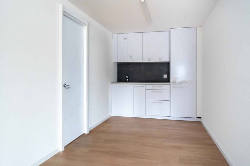 Modern and fully renovated commercial premises of 129 m² and 230 m² (3)