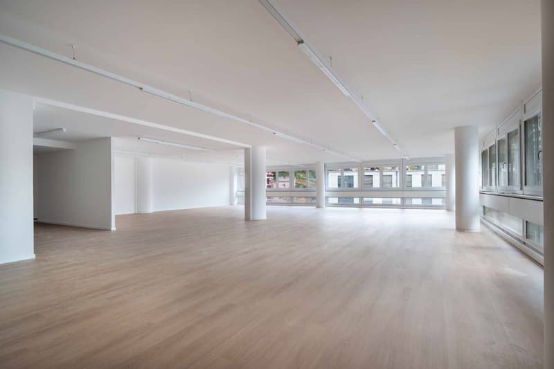 Modern and fully renovated commercial premises of 129 m² and 230 m² (6)