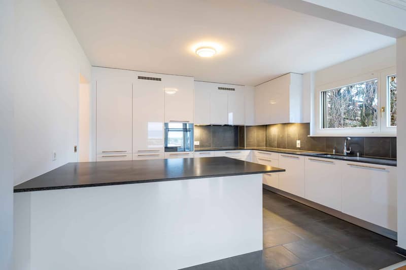 Splendido appartamento di 5.5 locali con vista d'eccezione (4)