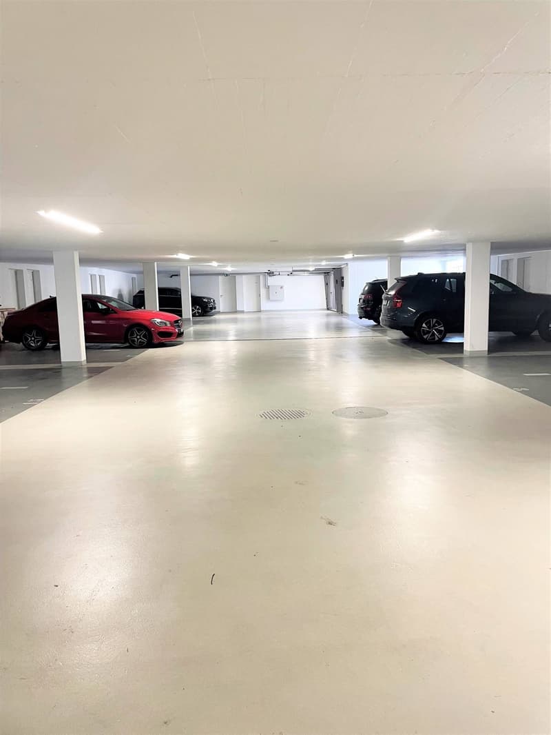 Bella superficie con molteplici utilizzi in una residenza di lusso a St-Sulpice (5)