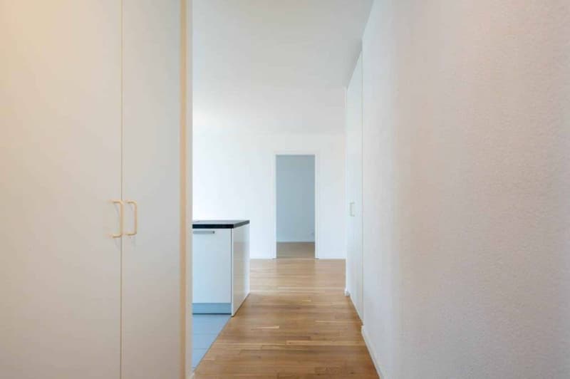 In affitto appartamento di 3.5 locali a Mont-sur-Lausanne (2)