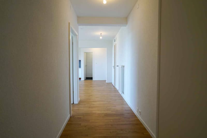 Sublime appartamento di 3.0 locali con 98m2 e vista sul lago (3)