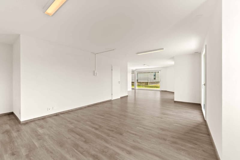Spazio commerciale eccezionale con giardino (4)