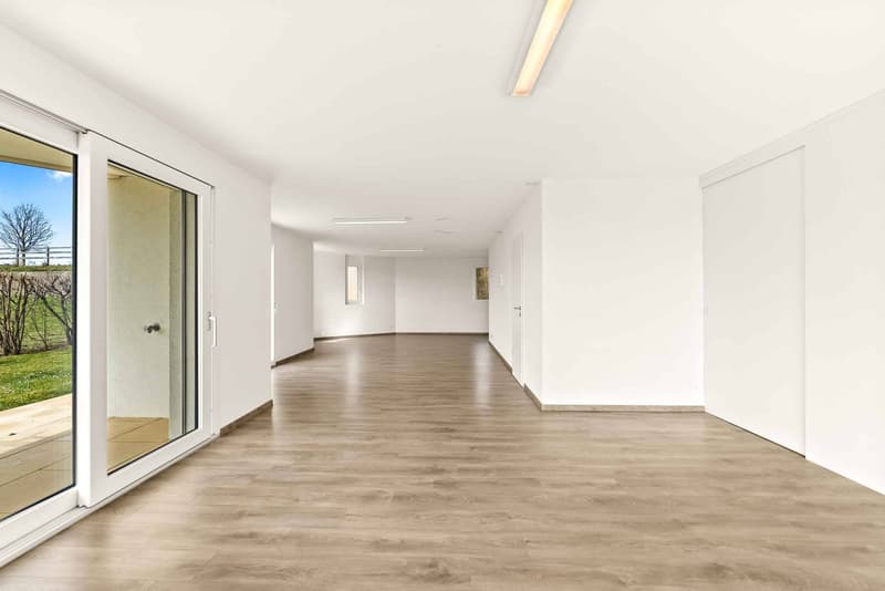 Spazio commerciale eccezionale con giardino (3)