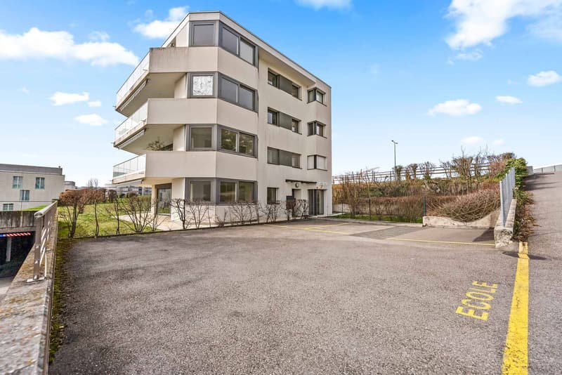 Spazio commerciale eccezionale con giardino (11)