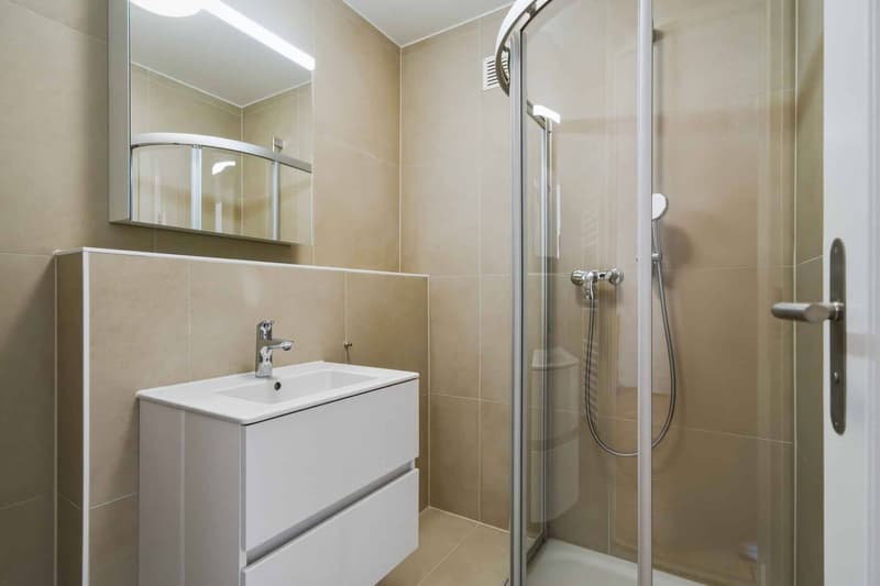 Spacious 2.5-room apartment with a view of the lake (6)