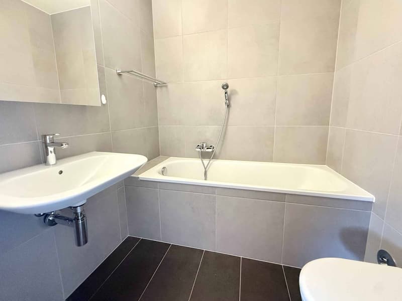 Beautiful 3.5-room attic in the heart of Lavaux (6)