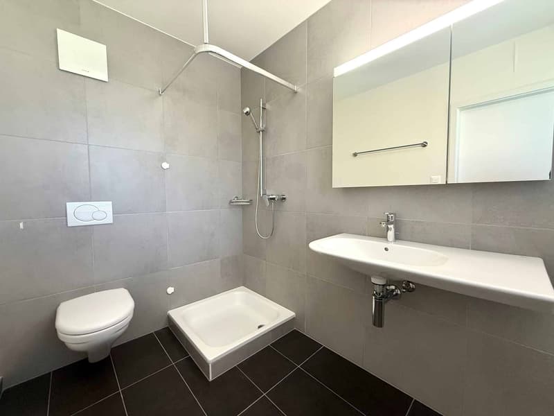 Beautiful 3.5-room attic in the heart of Lavaux (7)