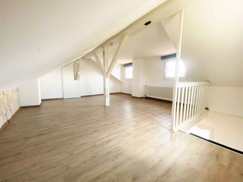 Charmante maison individuelle (6)