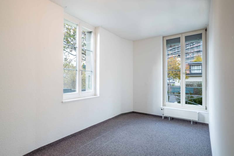 Positionieren Sie Ihre zukünftigen Projekte mit Erfolg im Stadtzentrum! (11)