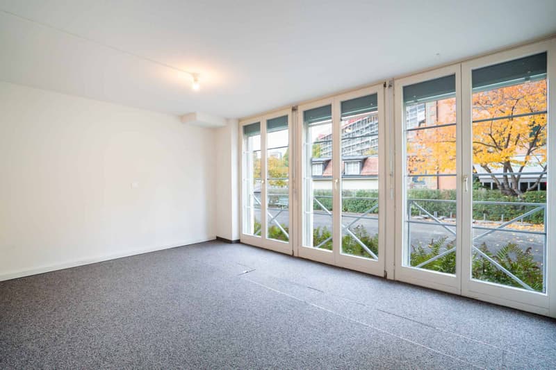 Positionieren Sie Ihre zukünftigen Projekte mit Erfolg im Stadtzentrum! (2)