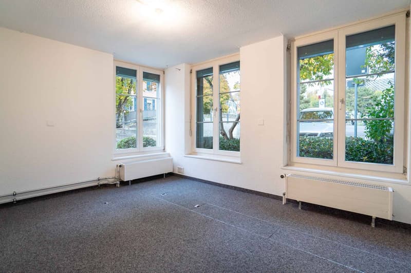 Positionieren Sie Ihre zukünftigen Projekte mit Erfolg im Stadtzentrum! (12)