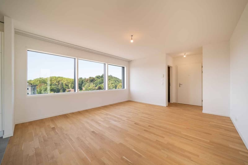 Beautiful studio with balcony (2)