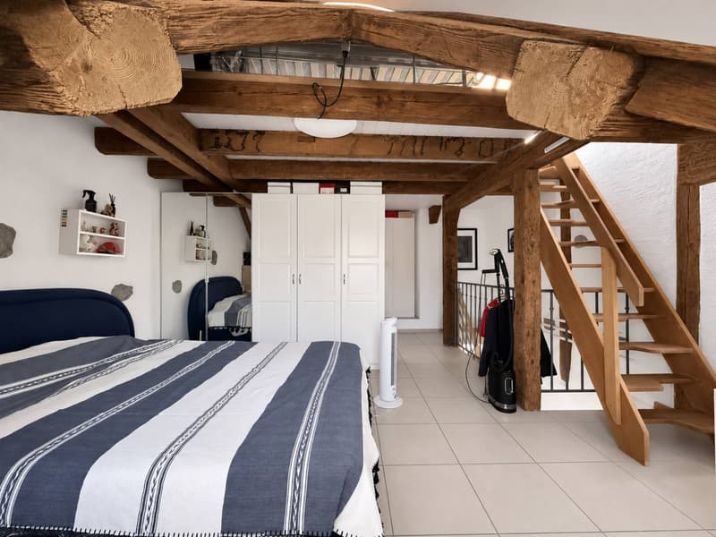 Duplex di 2,5 locali nel centro città con terrazza (7)