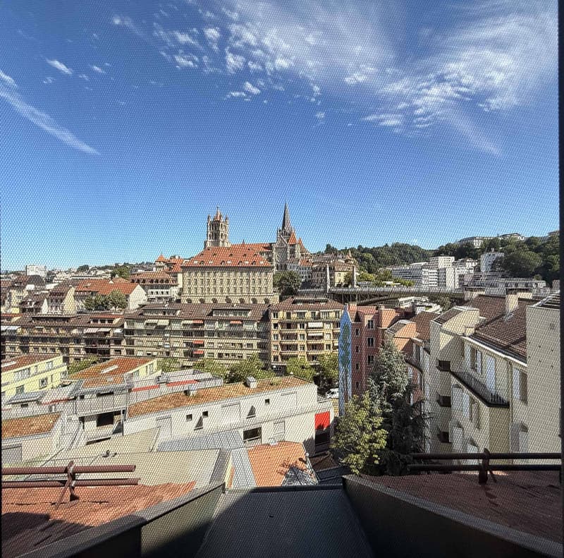 Duplex di 2,5 locali nel centro città con terrazza (6)