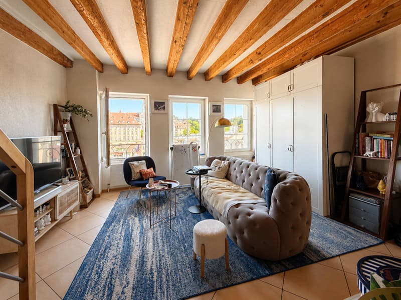 Duplex di 2,5 locali nel centro città con terrazza (2)