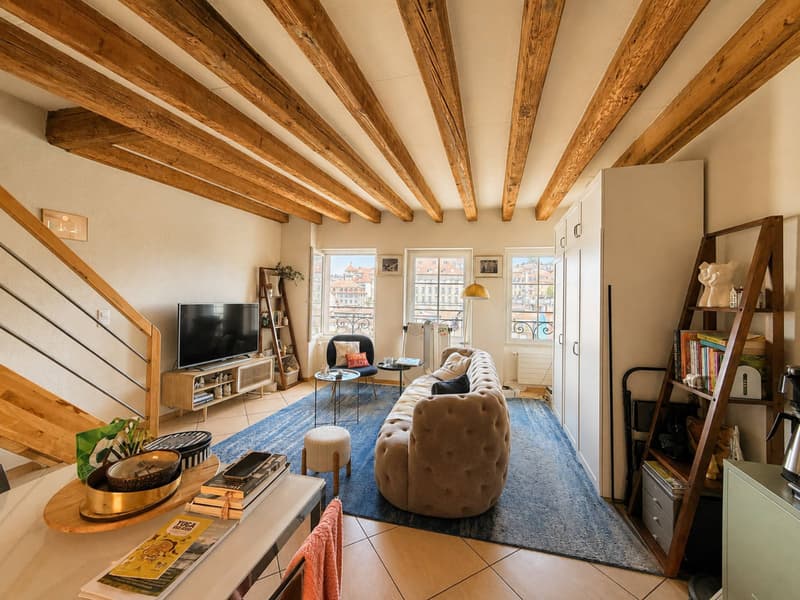 Duplex di 2,5 locali nel centro città con terrazza (3)