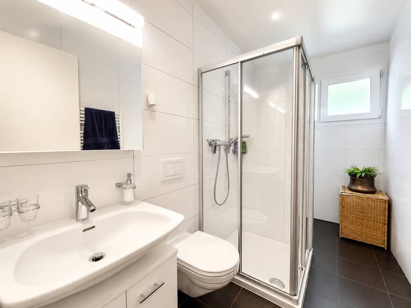 Beautiful 3.5-room apartment with private garden near the lake (10)