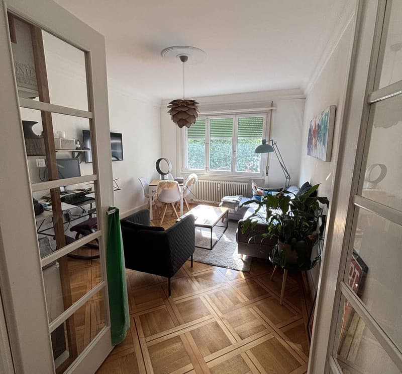Bello appartamento di 2,5 locali con vista sul lago (2)