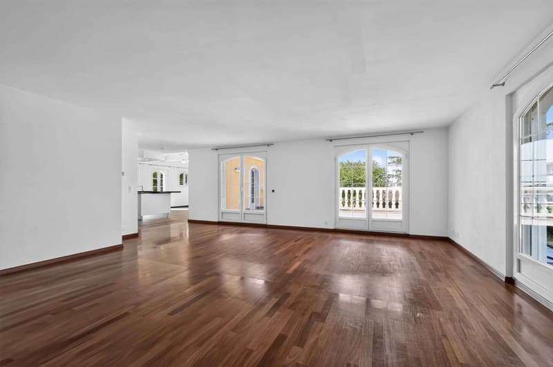 A rare villa with Mediterranean charm (6)