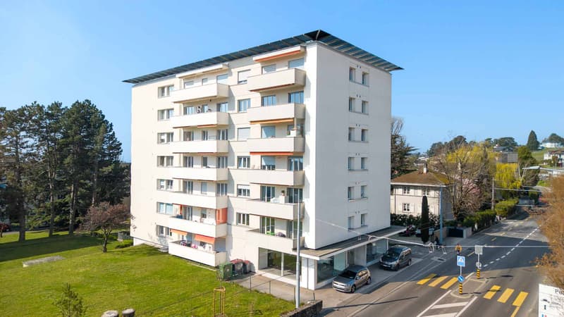 Superbe appartement rénové de 3,5 pièces avec vue sur le lac (6)