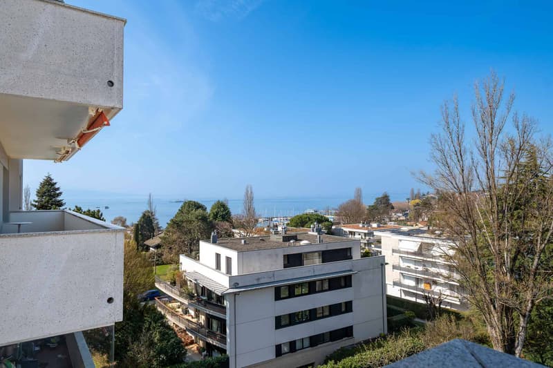 Superbe appartement rénové de 3,5 pièces avec vue sur le lac (2)