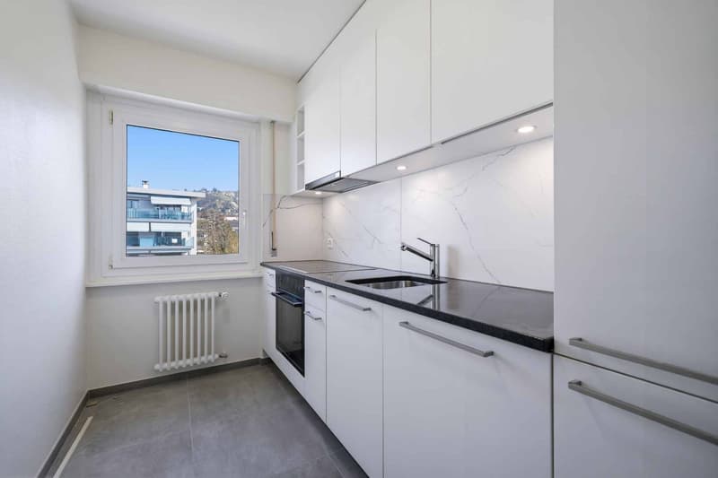 Superbe appartement rénové de 3,5 pièces avec vue sur le lac (3)