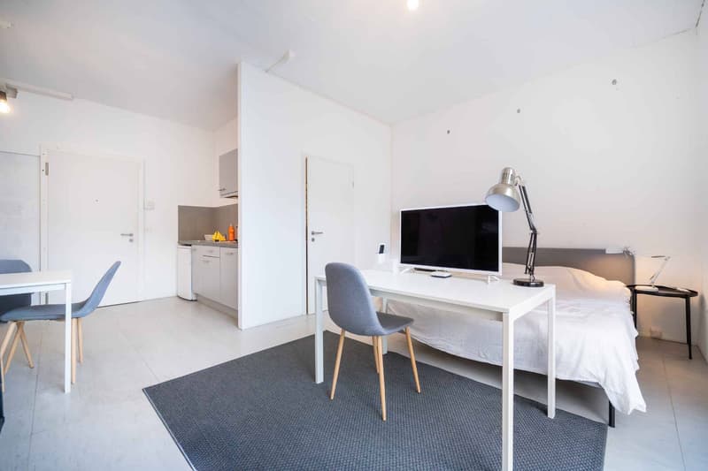 Studio de 28m2 à louer au Mont-sur-Lausanne ! (2)