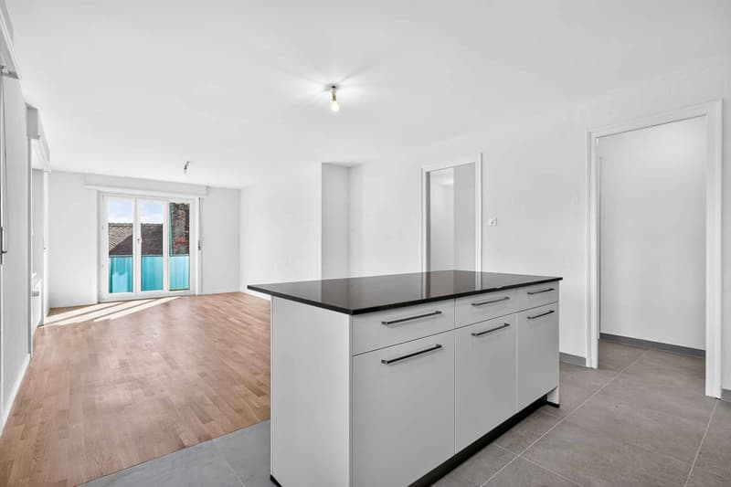 NEUF ! Magnifique appartement de 3.5 pièces entièrement rénové