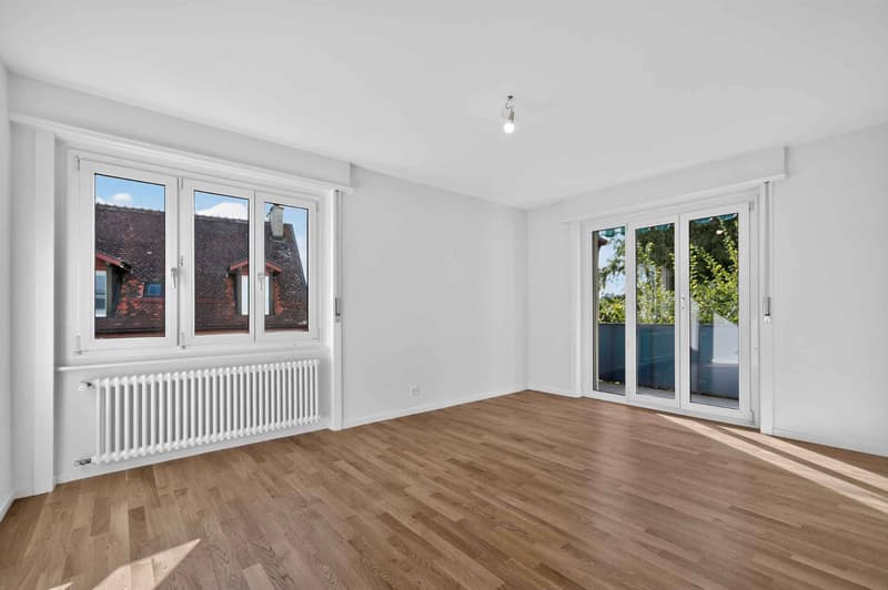 NEUF ! Magnifique appartement de 3.5 pièces entièrement rénové (6)